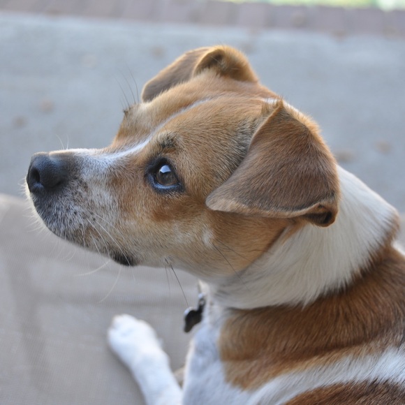 Meet your Posher, Nel - Picture 3 of 3